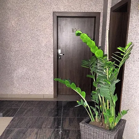 Pan Tadeusz 波兰尼卡-兹德鲁伊