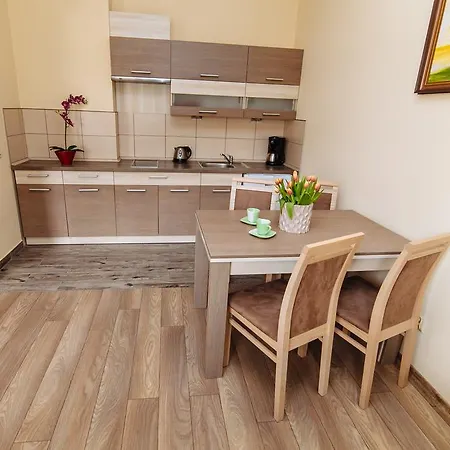 Pan Tadeusz 波兰尼卡-兹德鲁伊