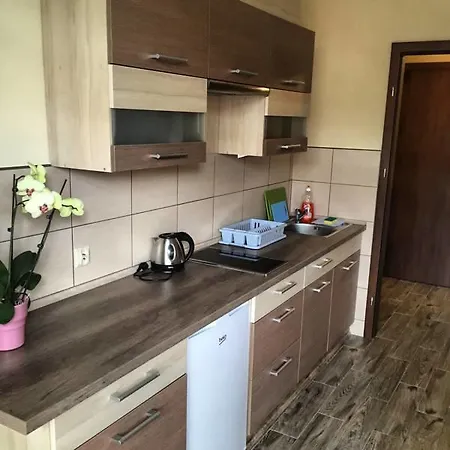 Apartment Pan Tadeusz Bad Altheide